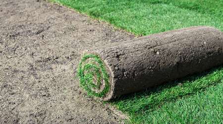 new-lawn-installation-service